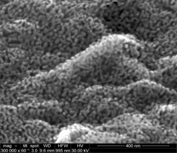 Nanoporous gold scanning electron micrograph